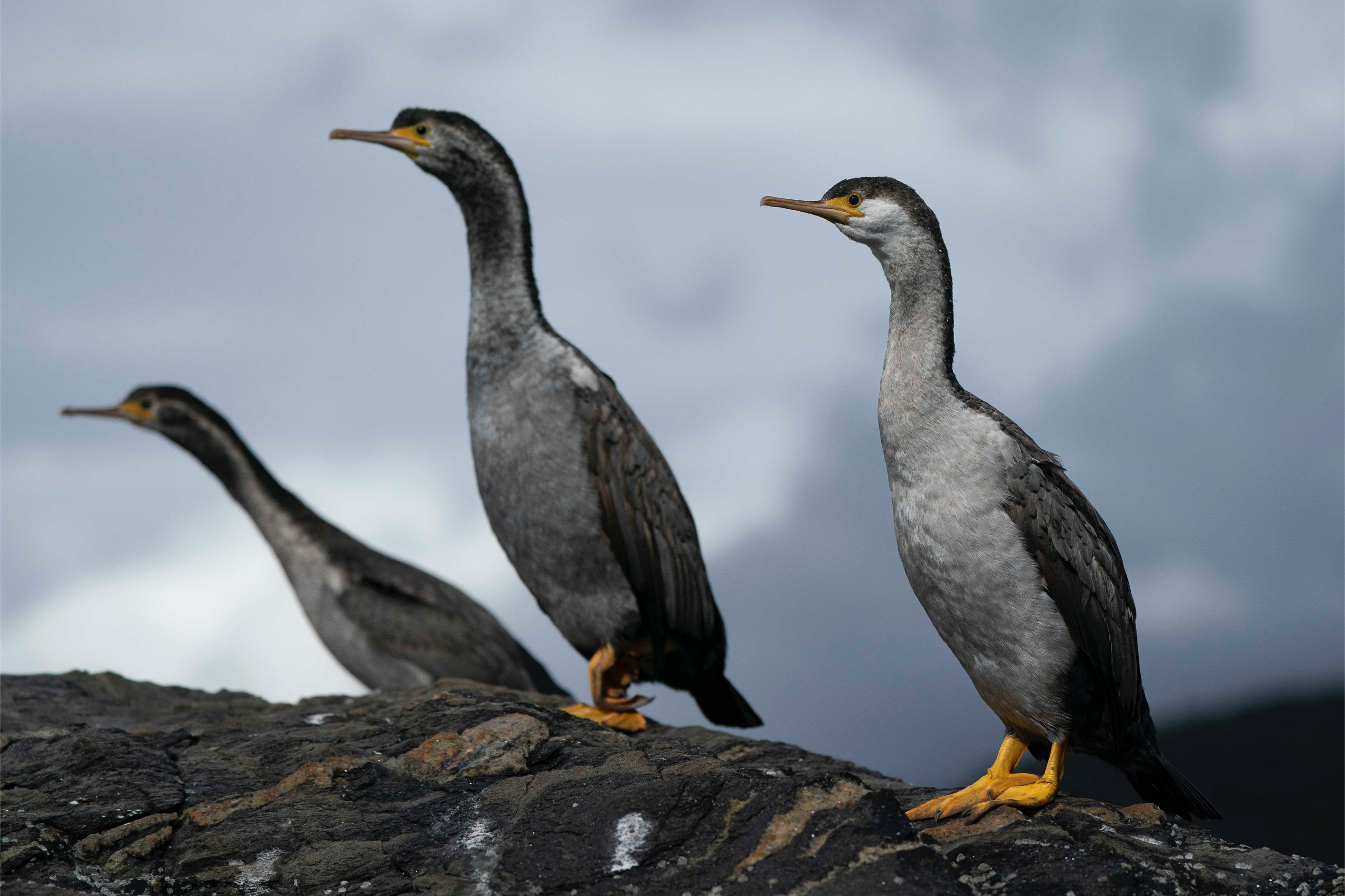 tourhub | Heritage Expeditions | Unseen Fiordland and Stewart Island 