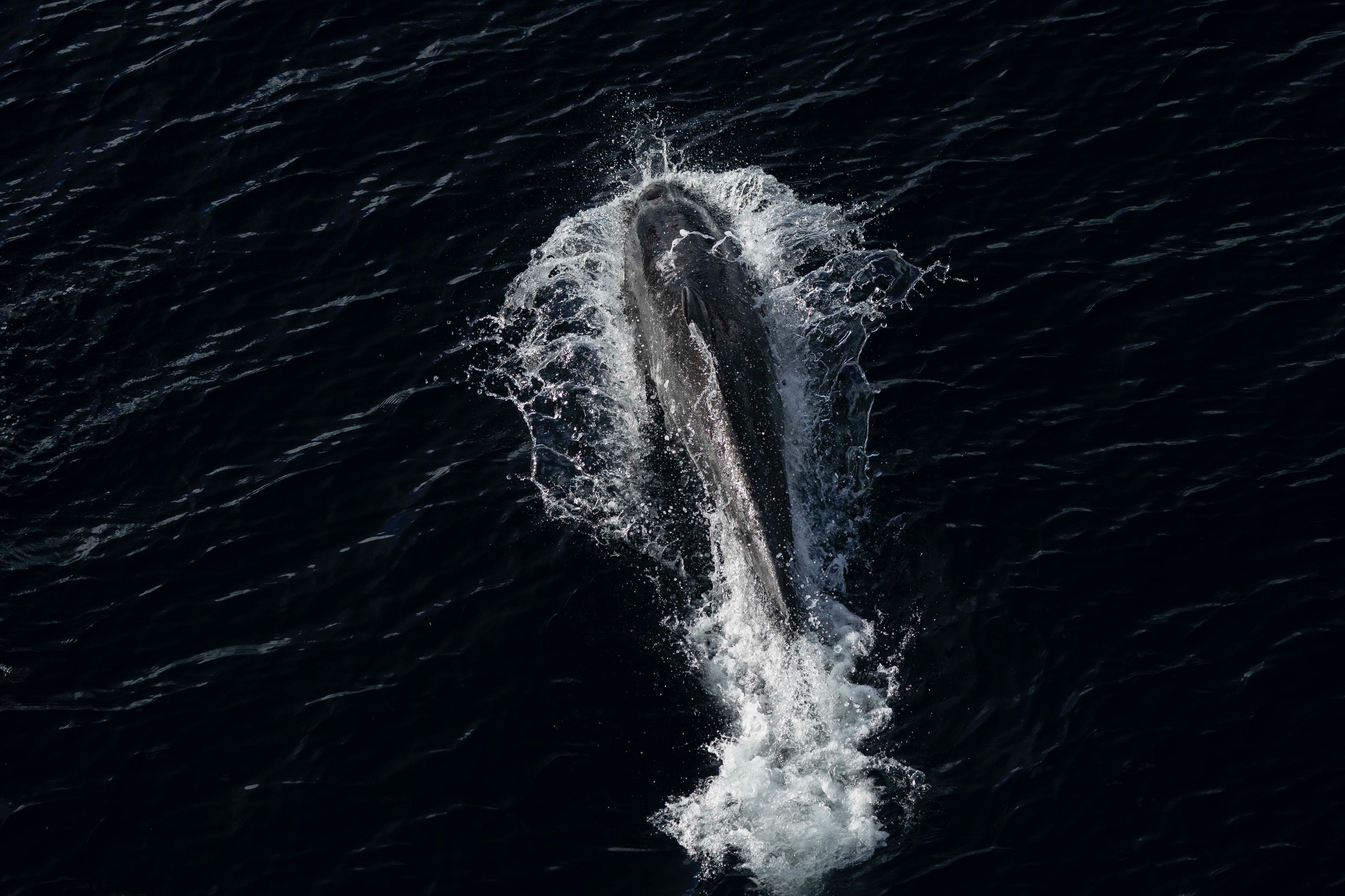 tourhub | Heritage Expeditions | Unseen Fiordland and Stewart Island 