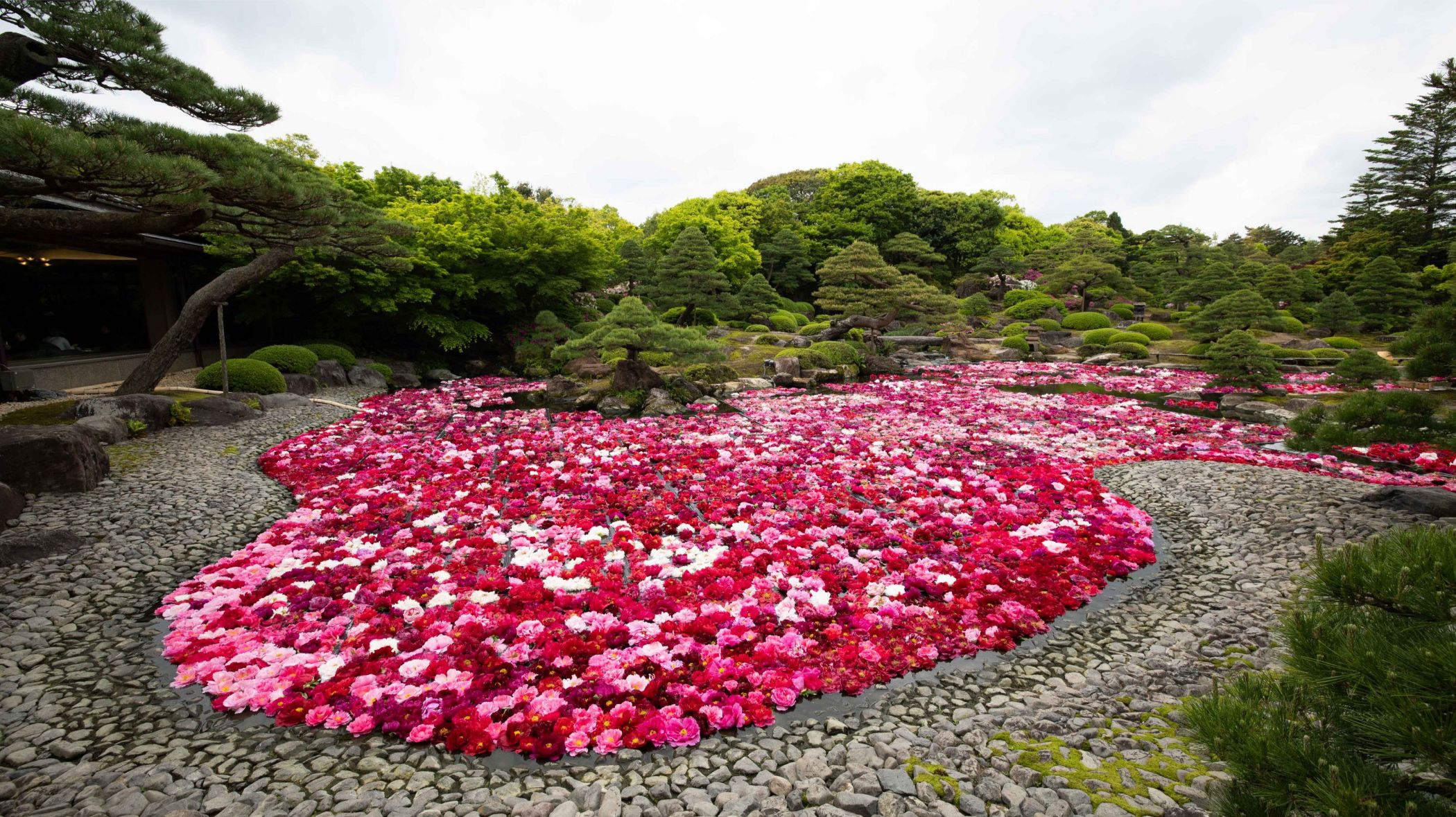 tourhub | Heritage Expeditions | Japan's National Parks, Art & Culture 