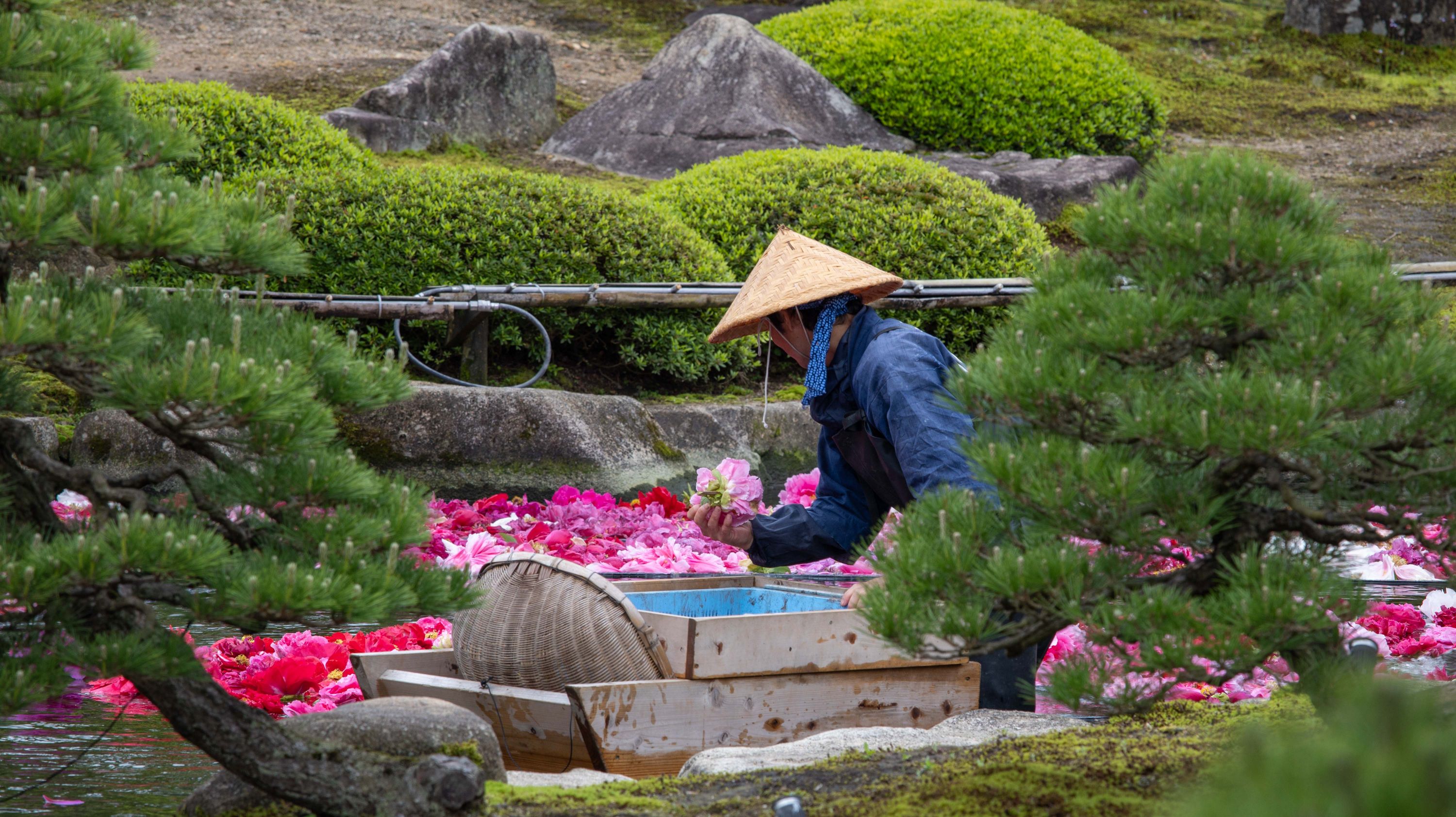 tourhub | Heritage Expeditions | Japan's National Parks, Art & Culture 