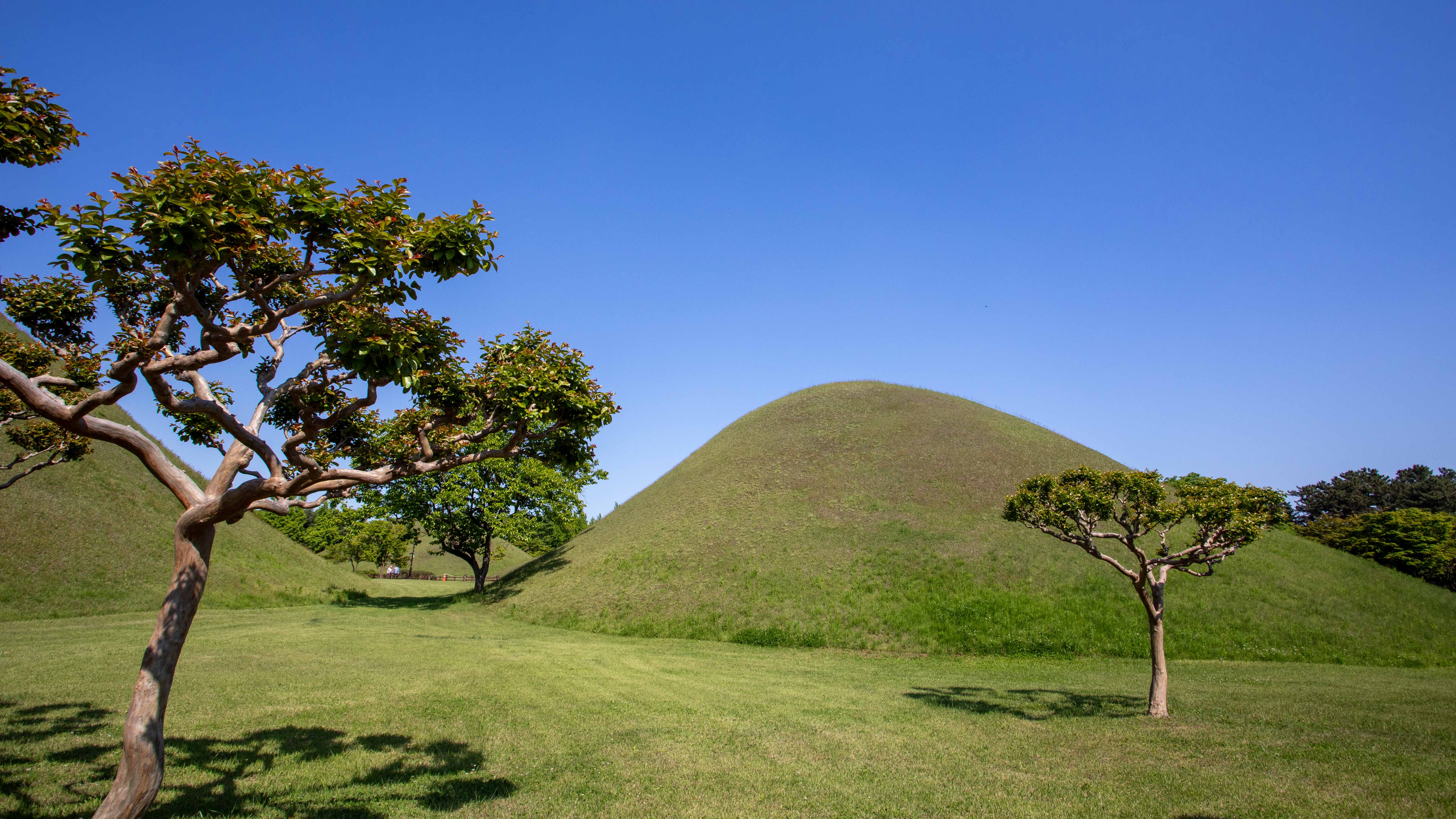 tourhub | Heritage Expeditions | Japan's National Parks, Art & Culture 