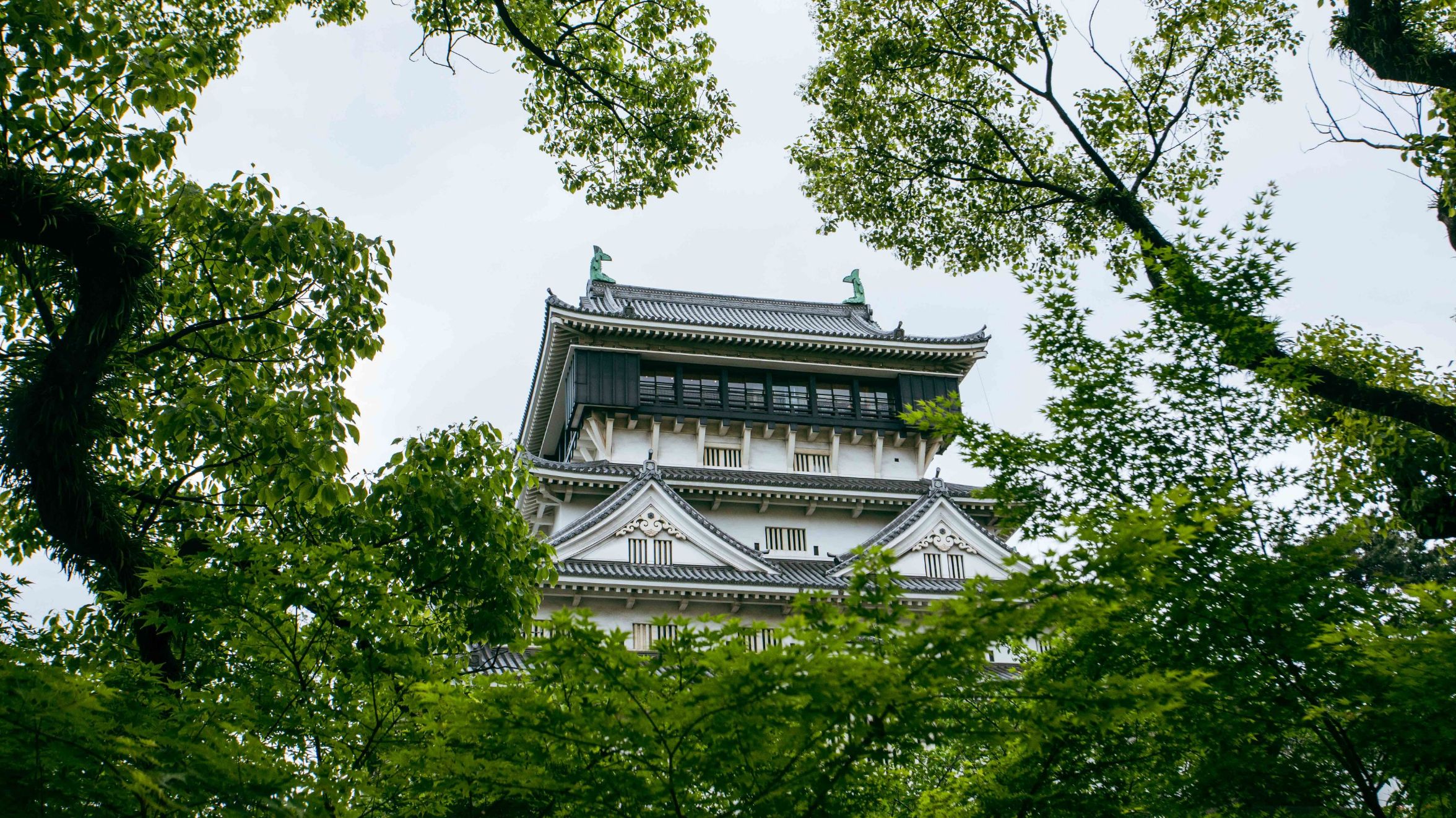 tourhub | Heritage Expeditions | Japan's National Parks, Art & Culture 