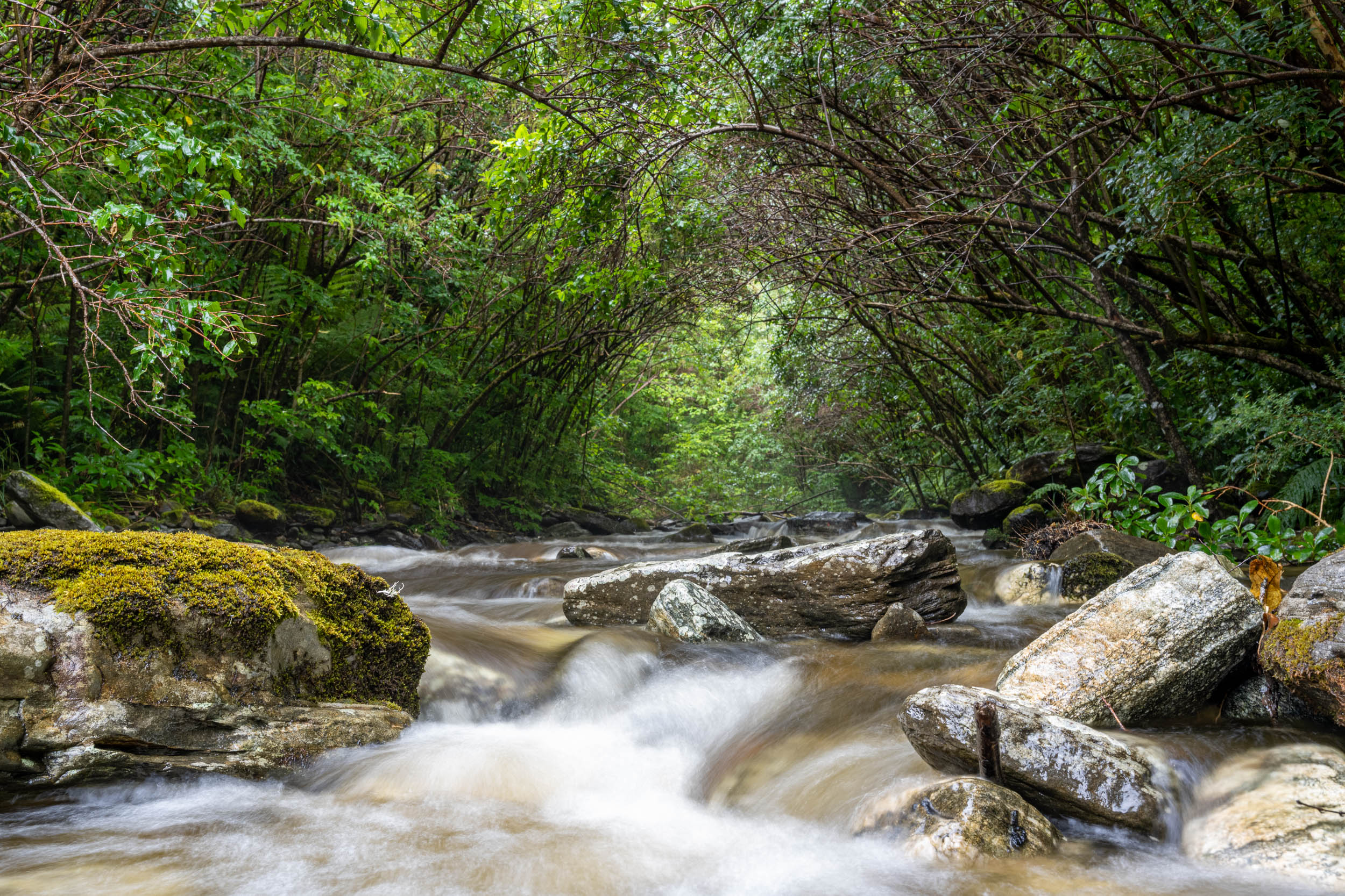 tourhub | Heritage Expeditions | Unseen Fiordland and Stewart Island 