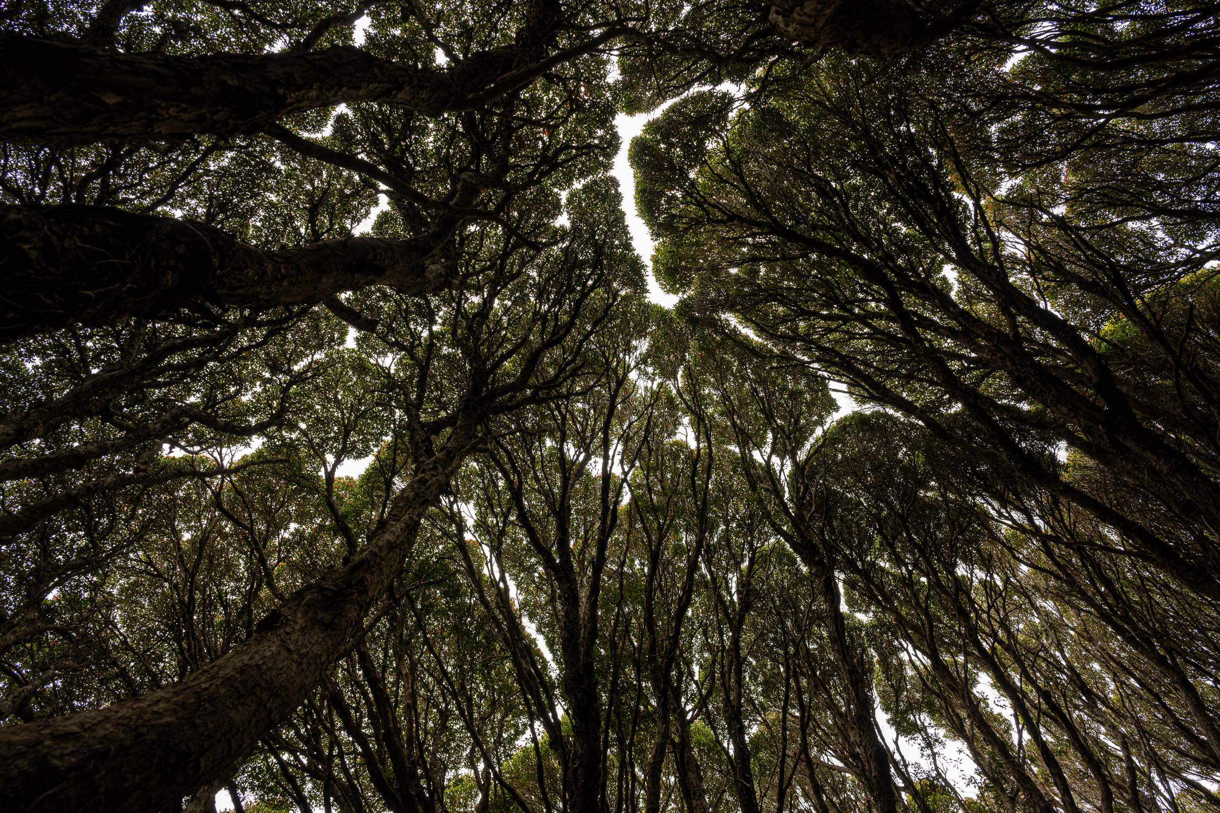 tourhub | Heritage Expeditions | Beyond Fiordland 