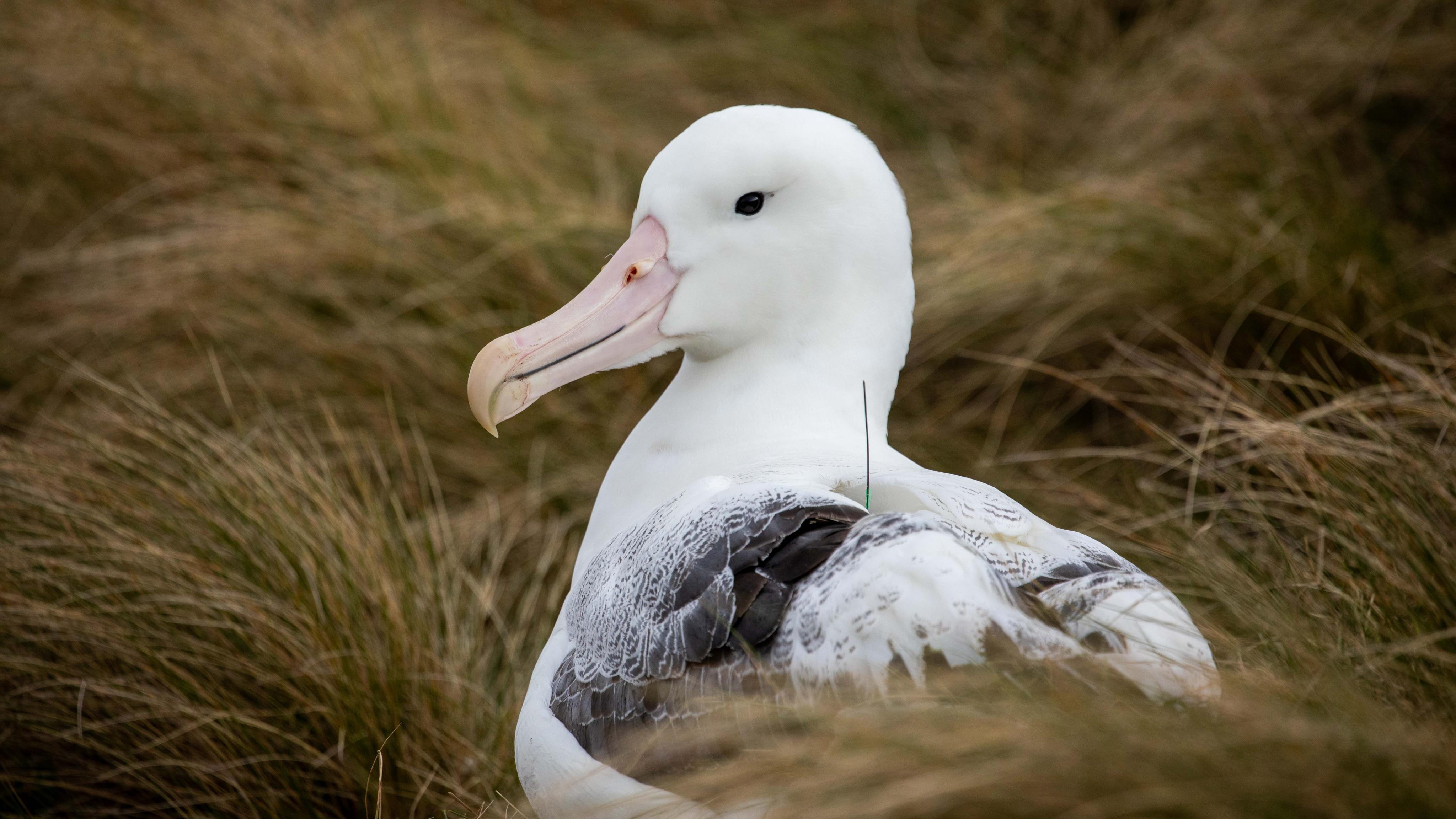 tourhub | Heritage Expeditions | Beyond Fiordland 