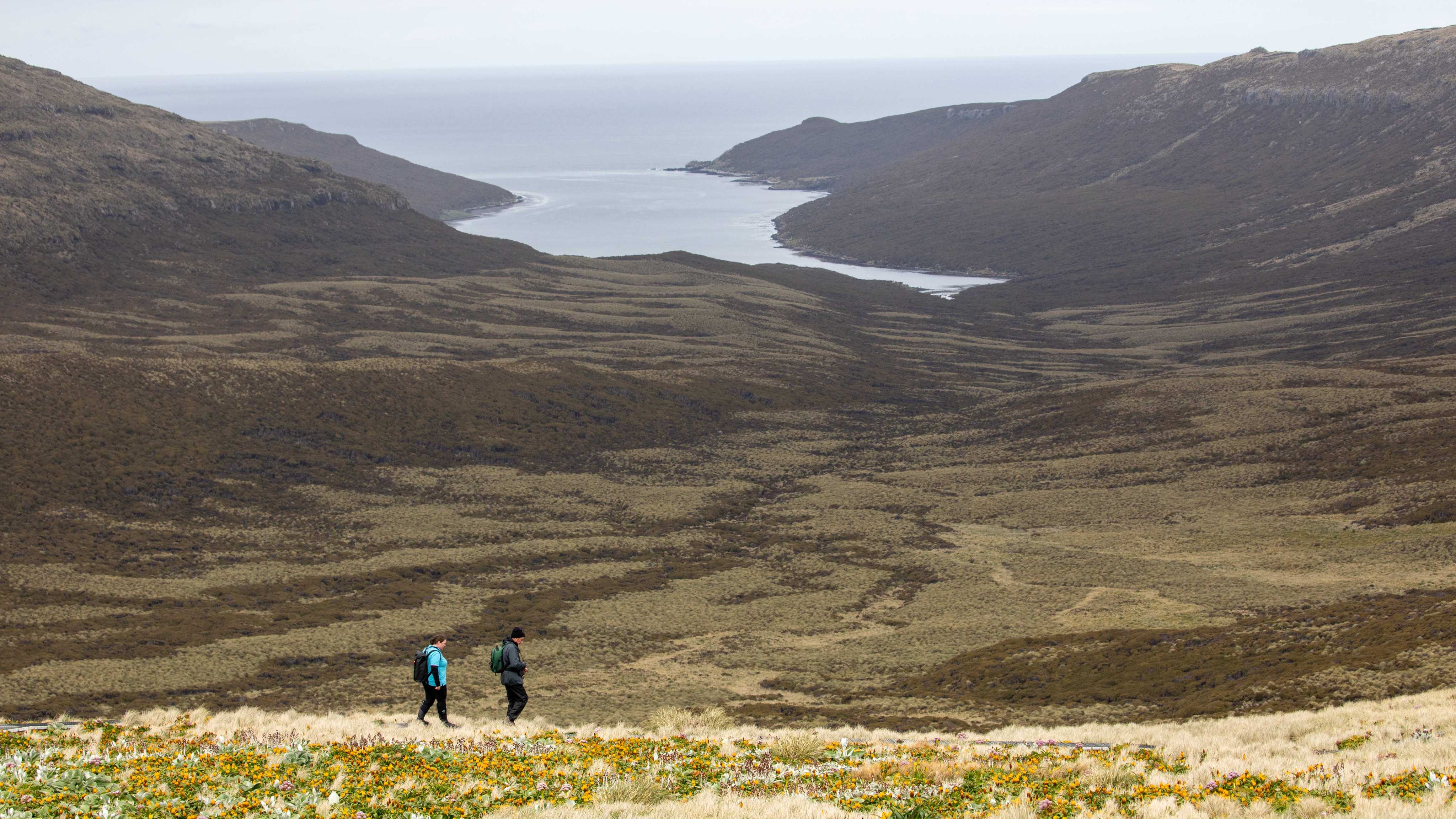 tourhub | Heritage Expeditions | Galapagos of the Southern Ocean 