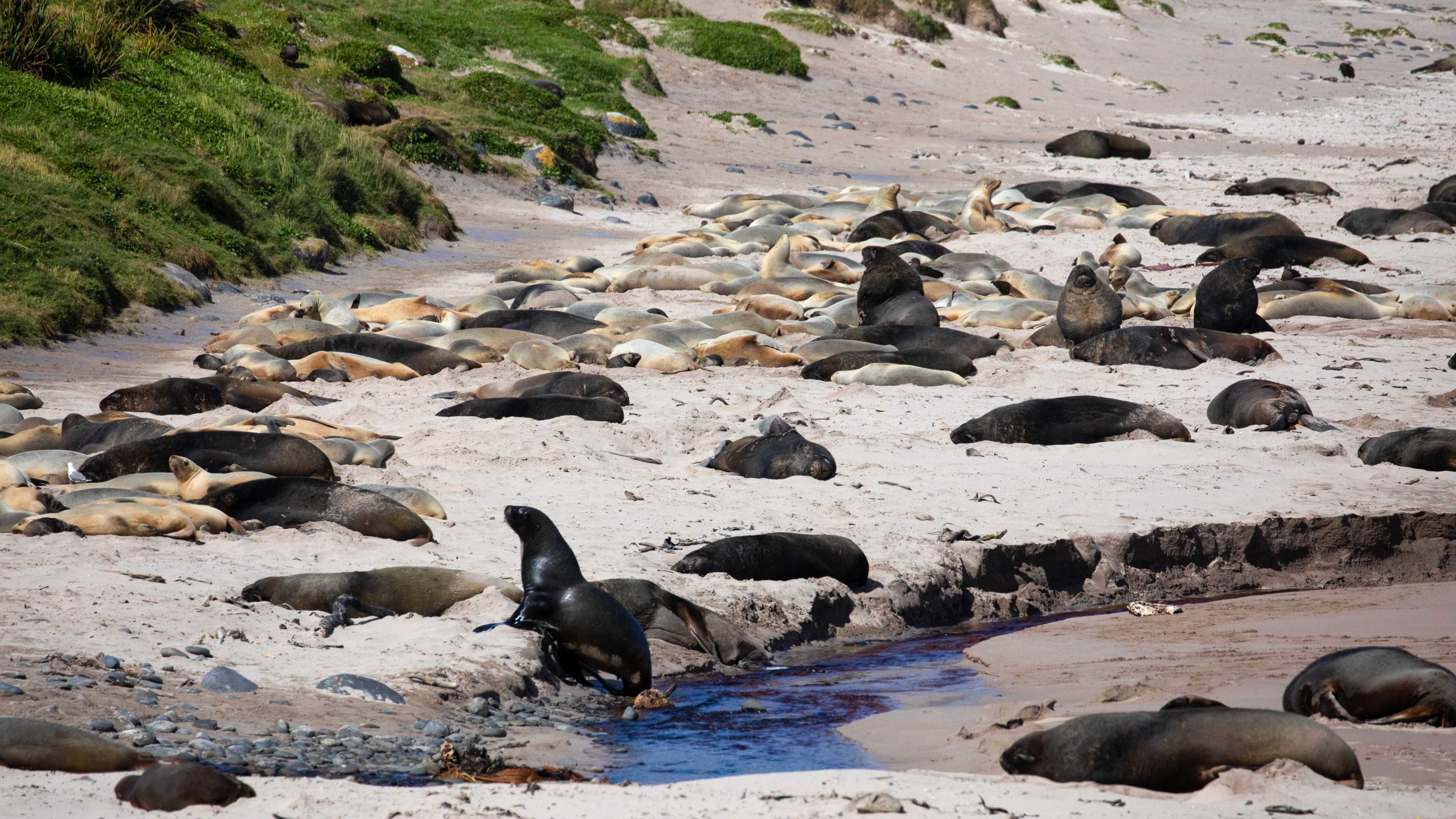 tourhub | Heritage Expeditions | Beyond Fiordland 