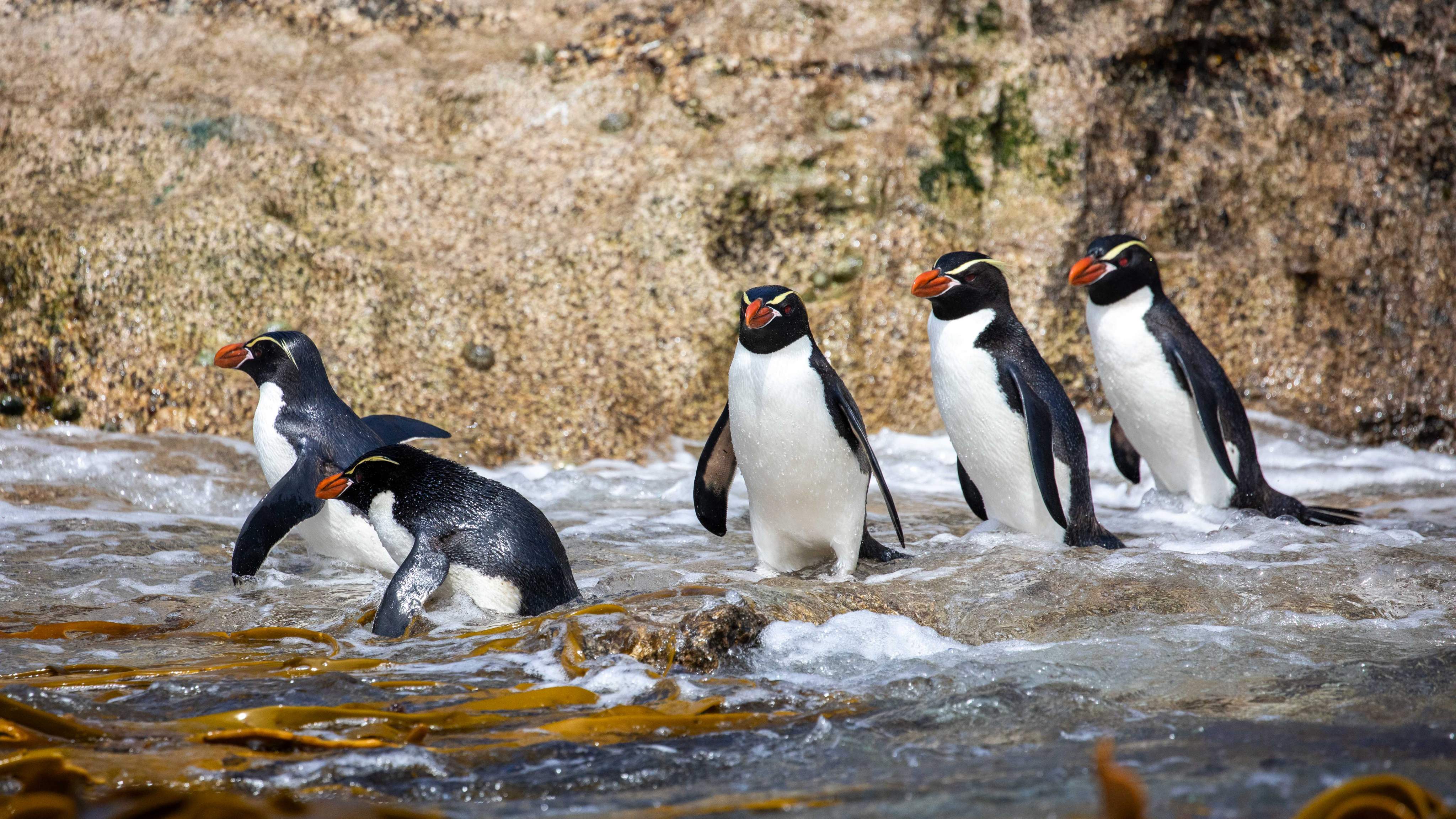 tourhub | Heritage Expeditions | Beyond Fiordland 