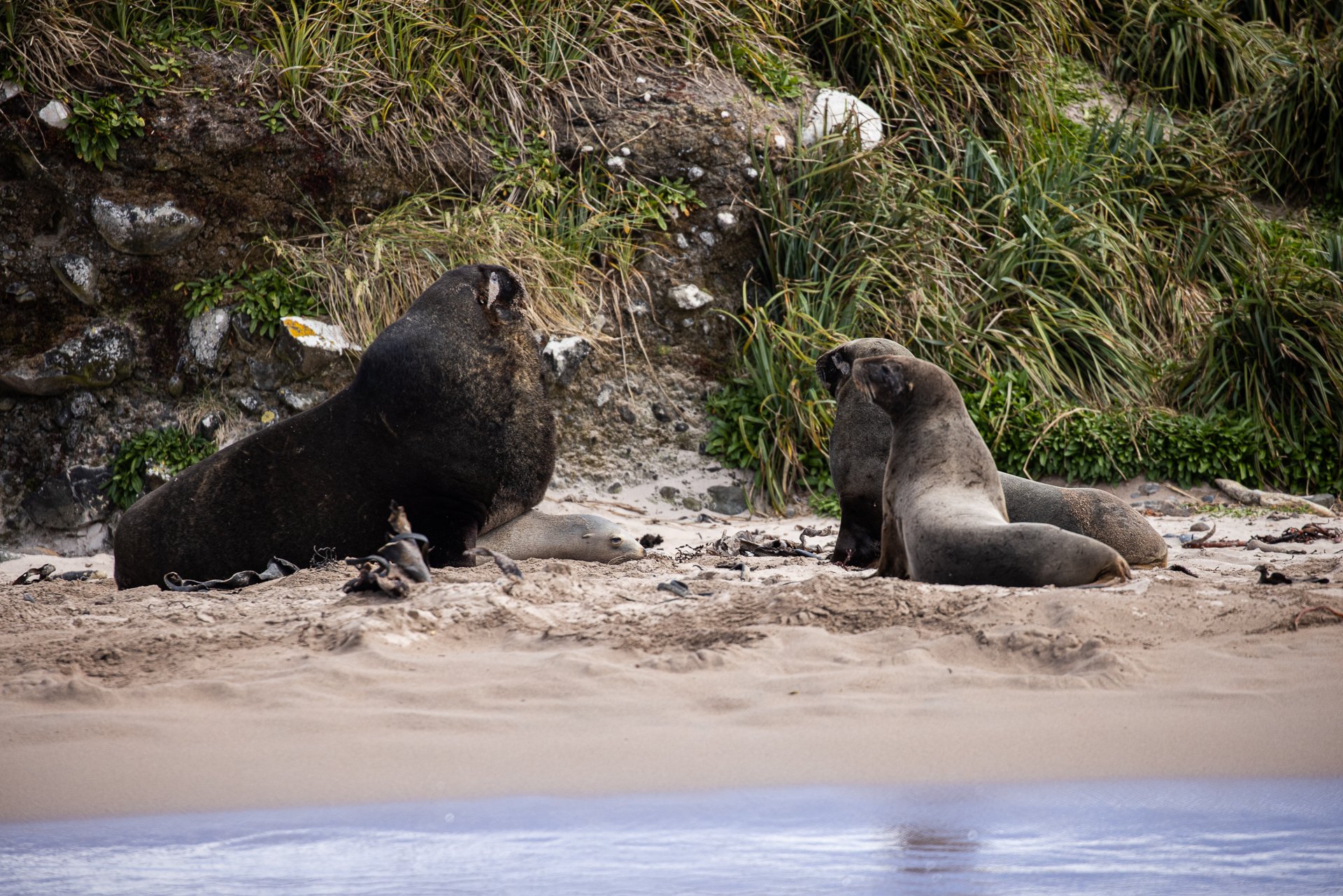 tourhub | Heritage Expeditions | Beyond Fiordland 