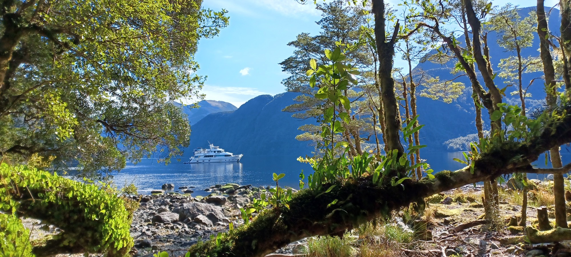 tourhub | Heritage Expeditions | All of the Fiords 