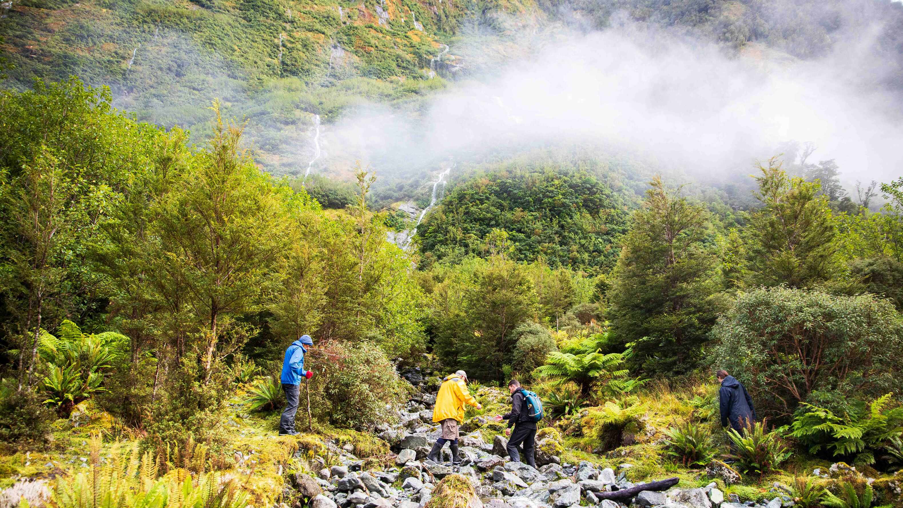 tourhub | Heritage Expeditions | Southern Fiords Discovery 