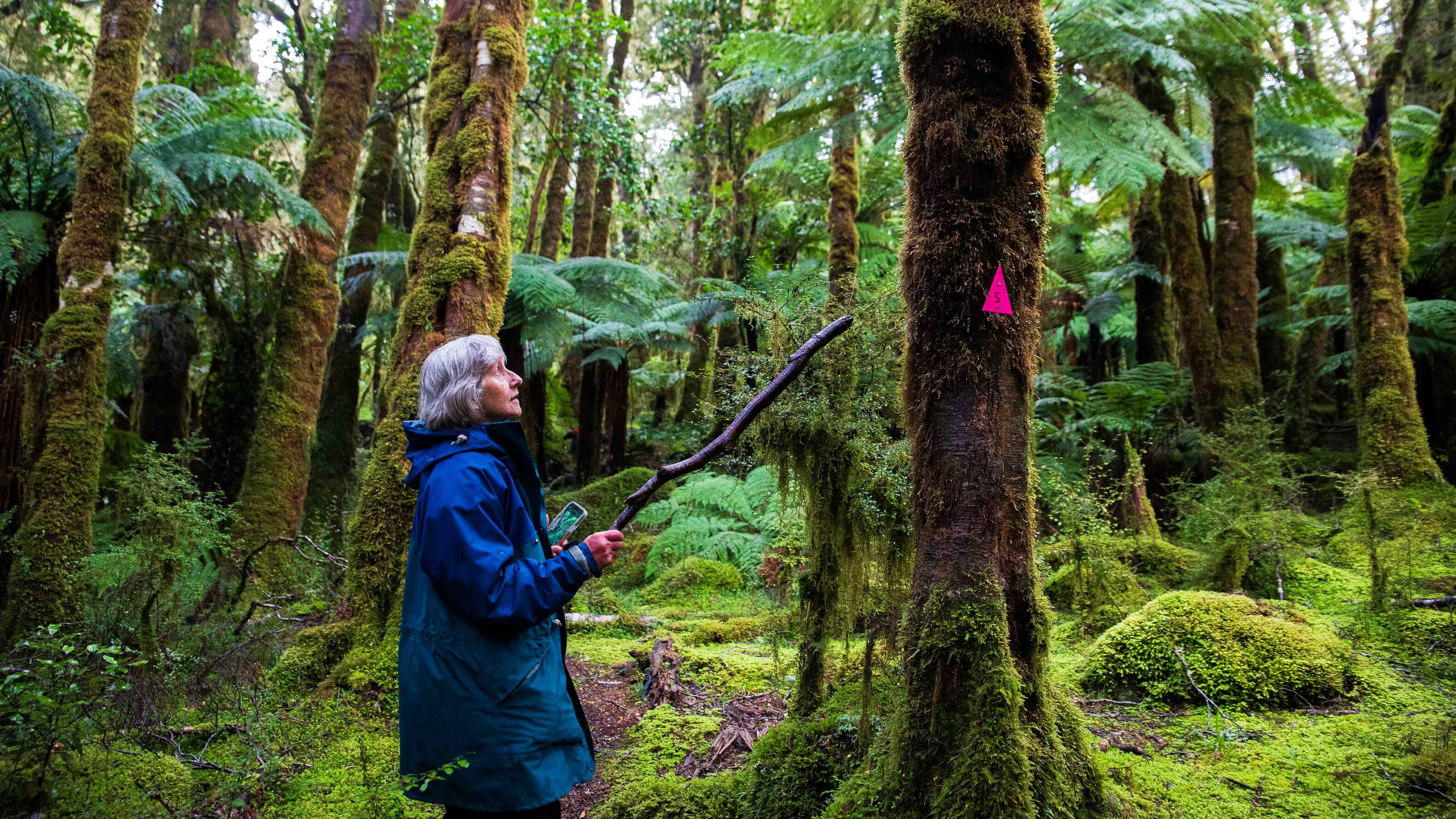 tourhub | Heritage Expeditions | Undiscovered Dusky Sound 