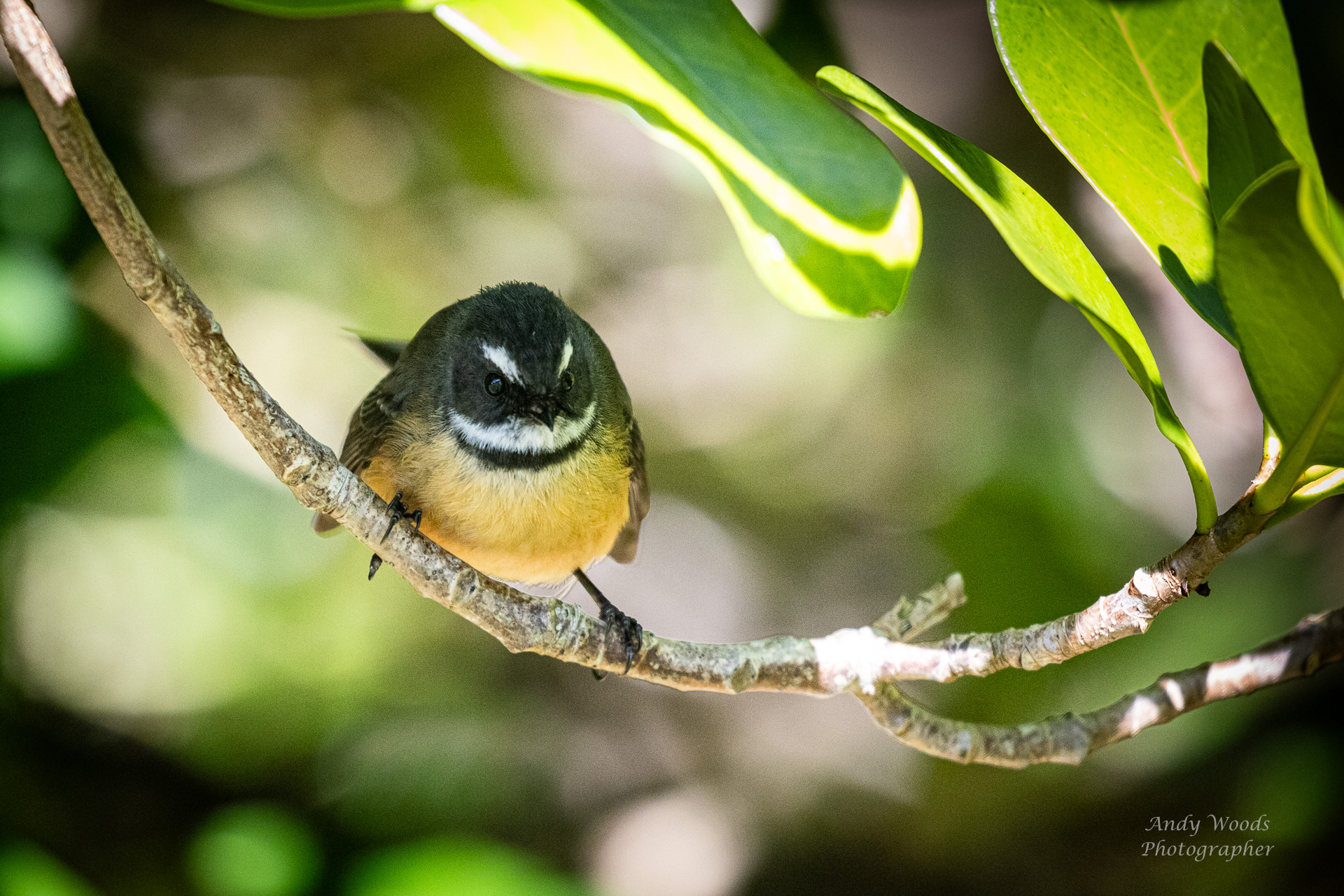 tourhub | Heritage Expeditions | Unseen Queen Charlotte Sound 