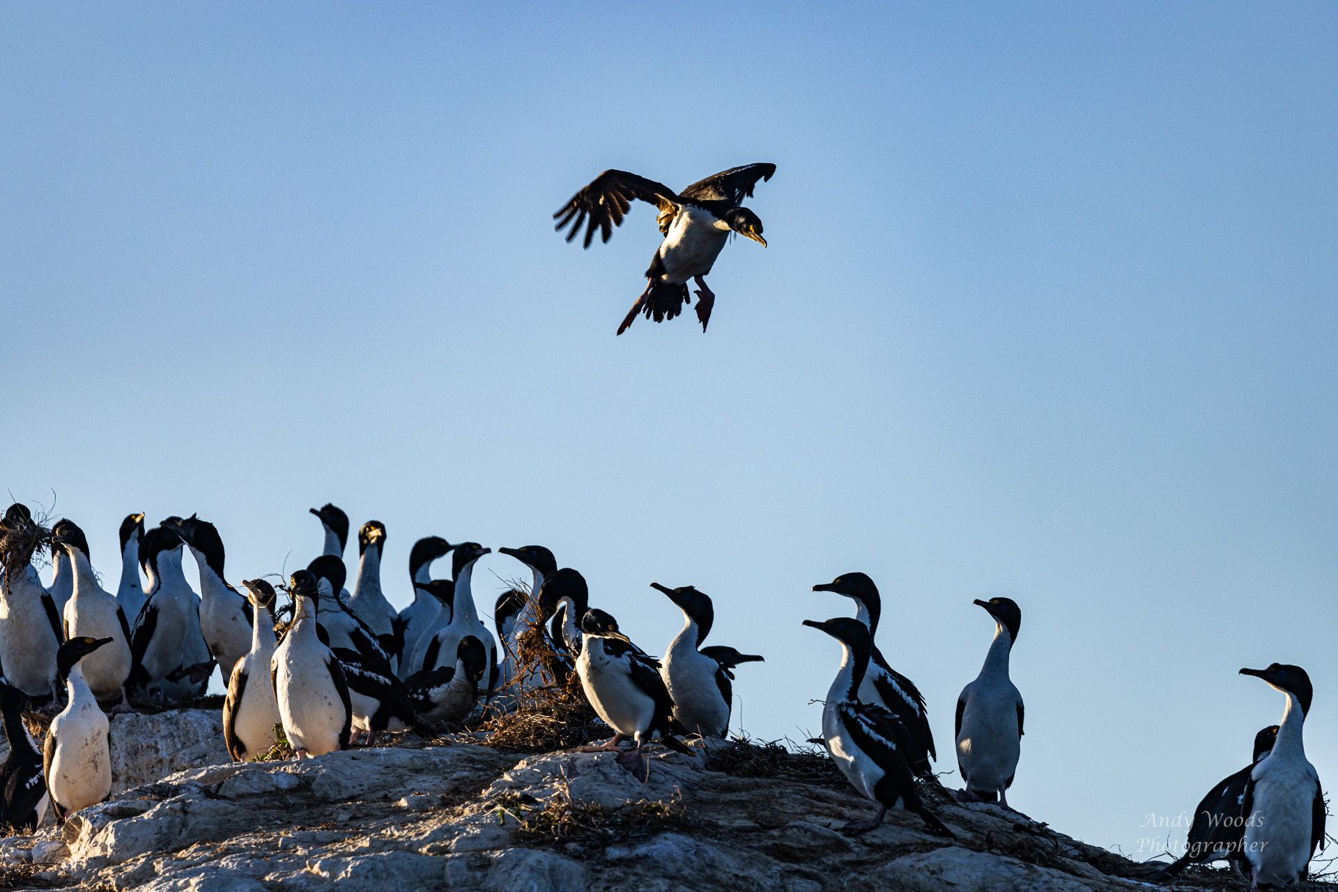 tourhub | Heritage Expeditions | Discover Marlborough Sounds 