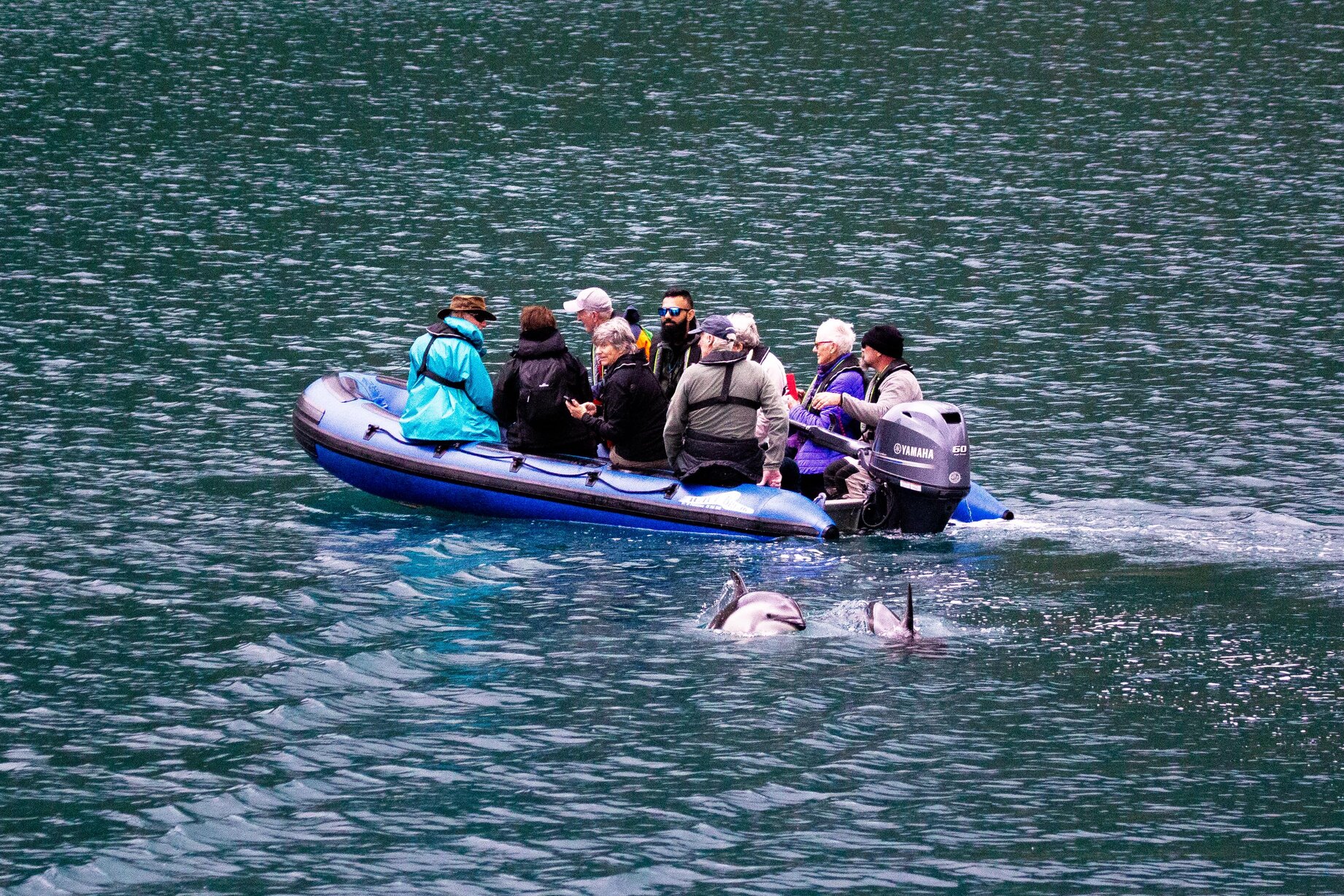 tourhub | Heritage Expeditions | Unseen Queen Charlotte Sound 