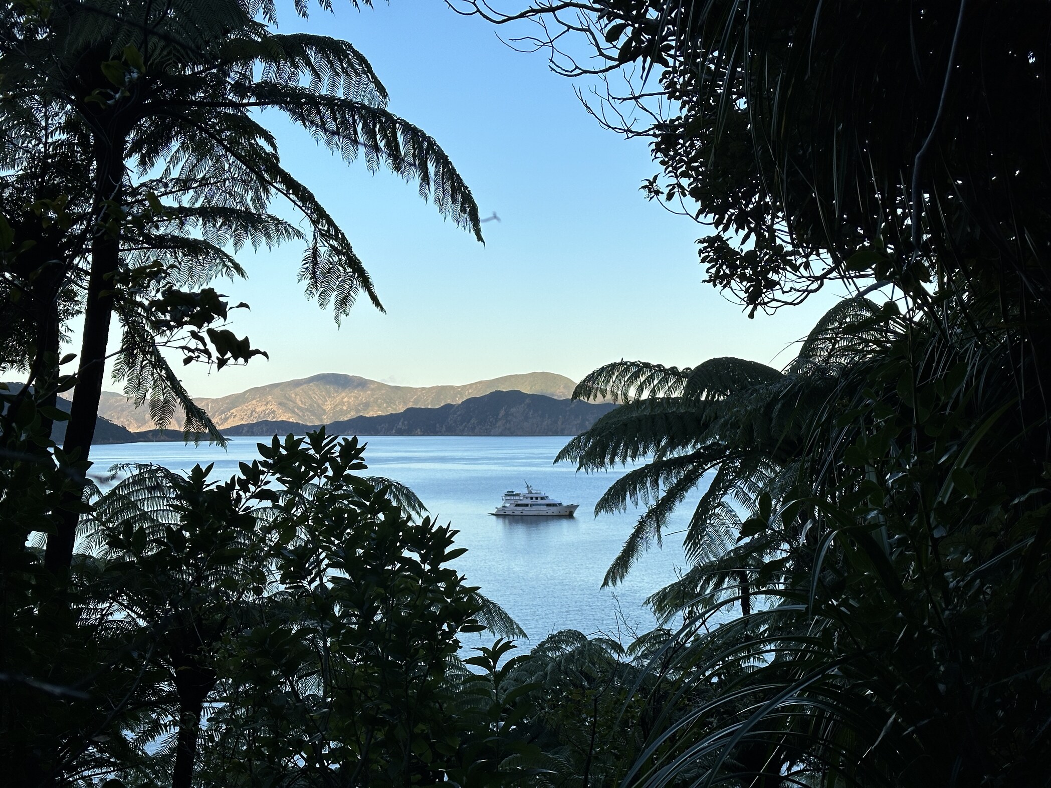 tourhub | Heritage Expeditions | Discover Marlborough Sounds 