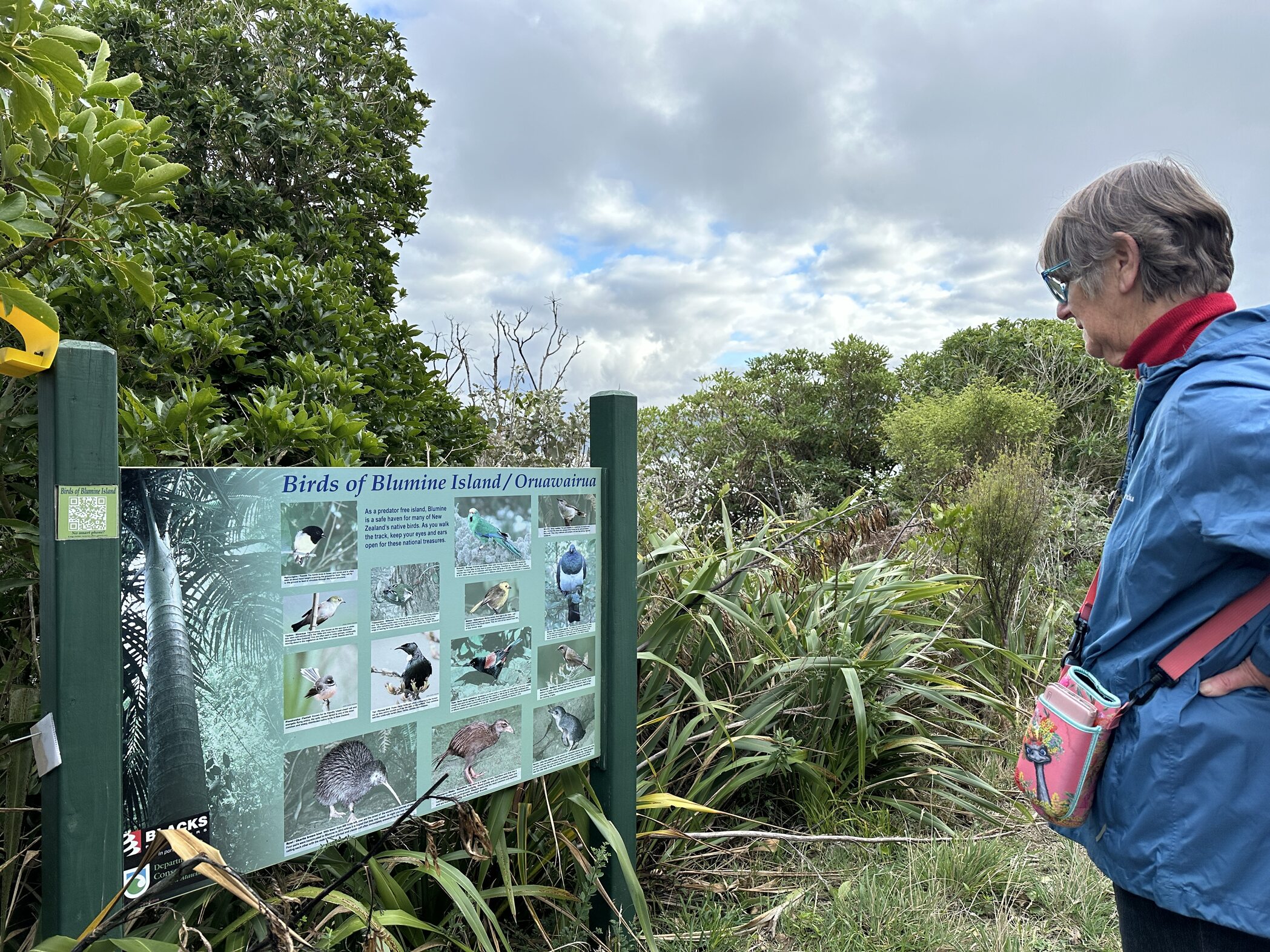 tourhub | Heritage Expeditions | Unseen Queen Charlotte Sound 