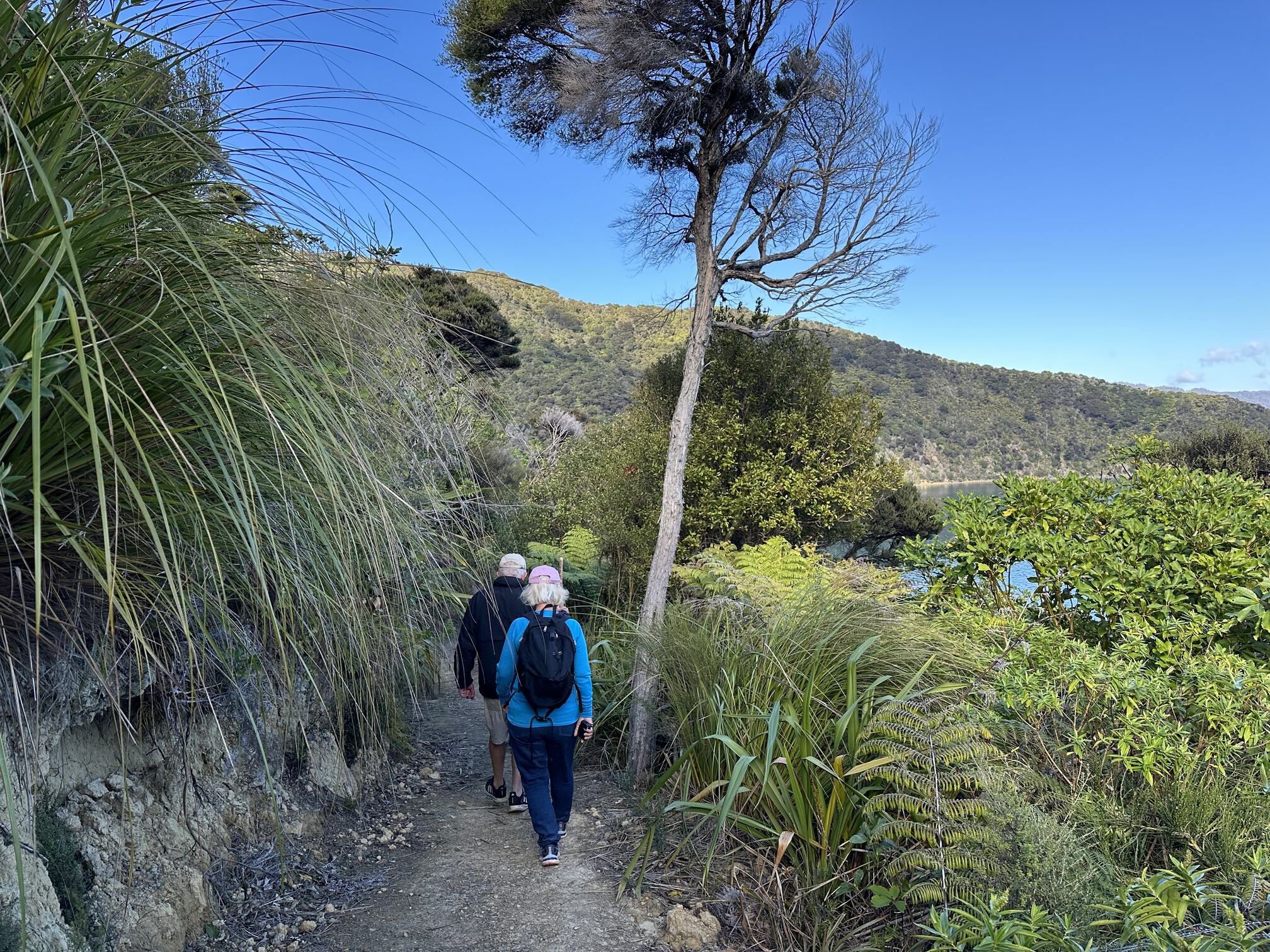 tourhub | Heritage Expeditions | Unseen Queen Charlotte Sound 