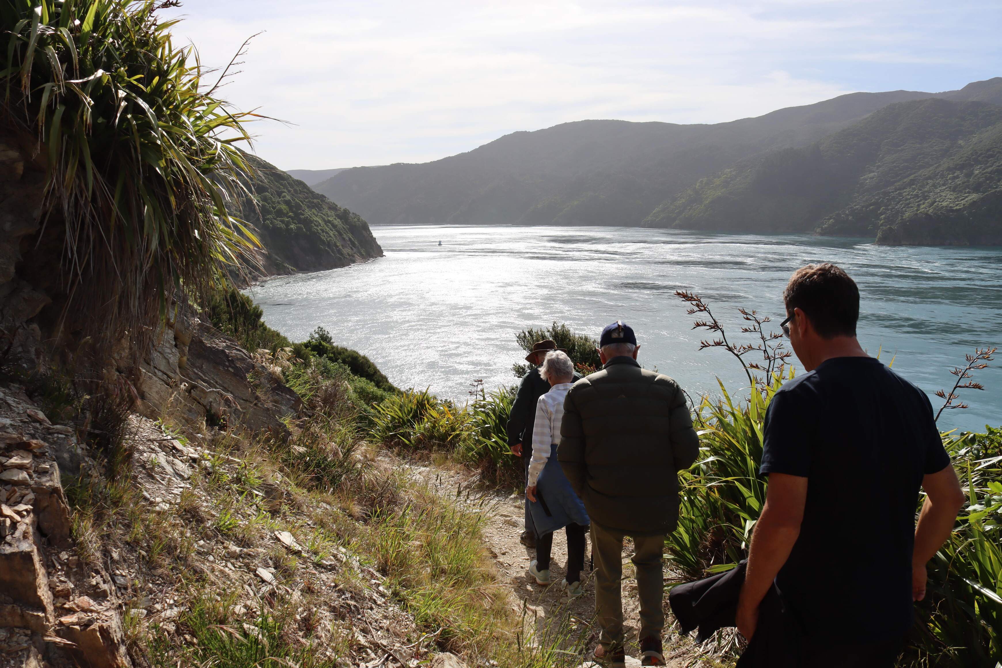 tourhub | Heritage Expeditions | Unseen Queen Charlotte Sound 