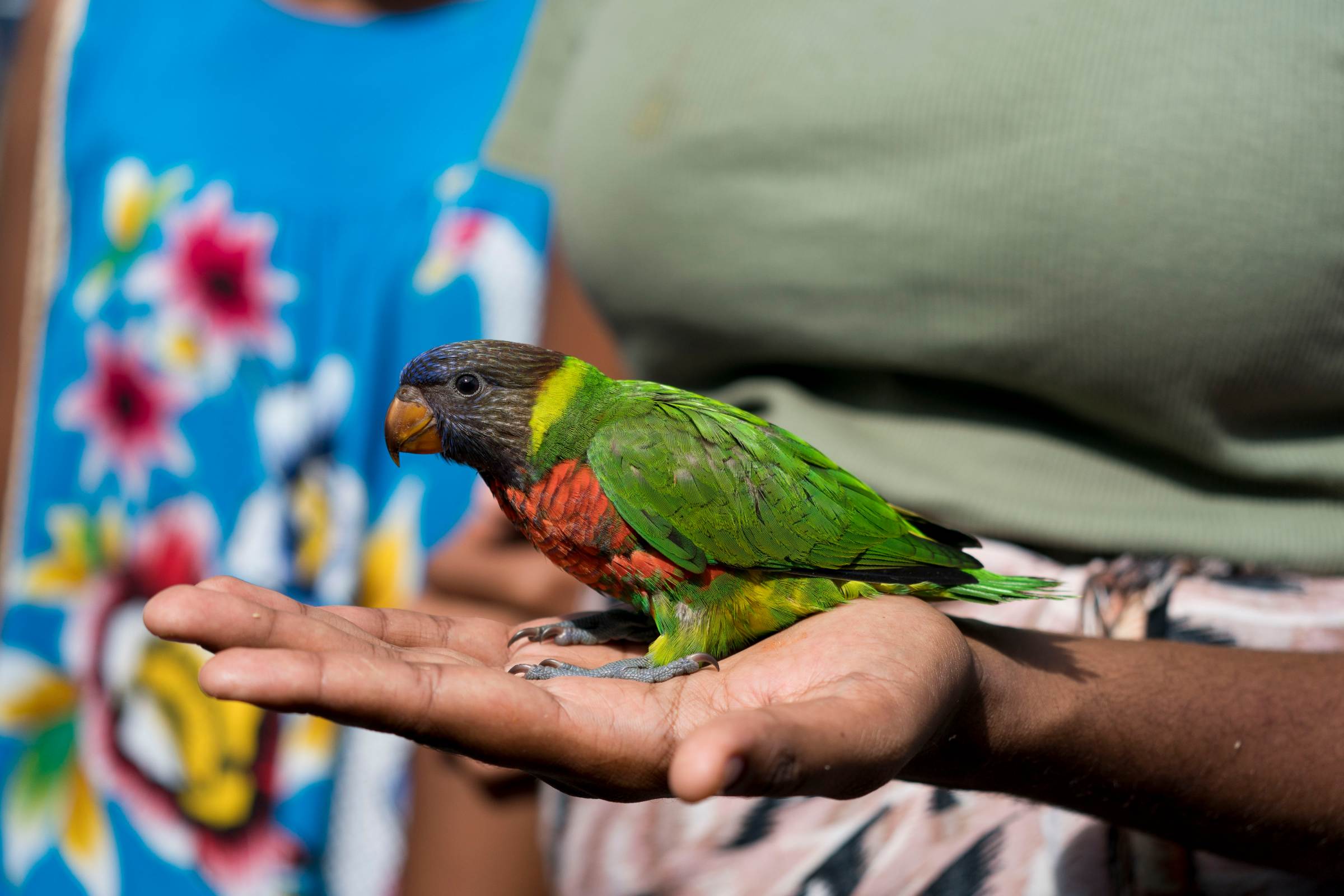 tourhub | Heritage Expeditions | Discover the Secrets of Melanesia 