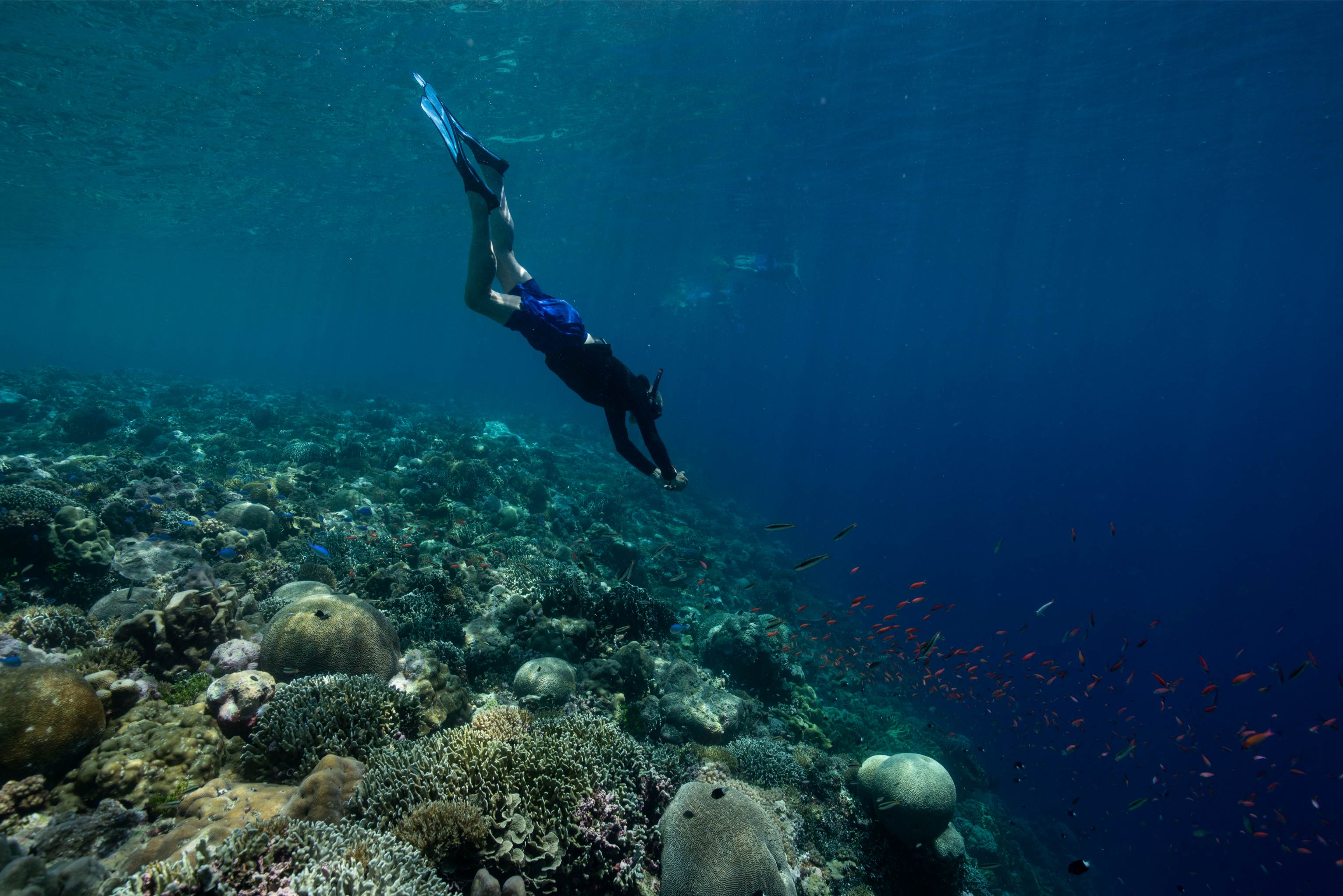 tourhub | Heritage Expeditions | Discover the Secrets of Melanesia 