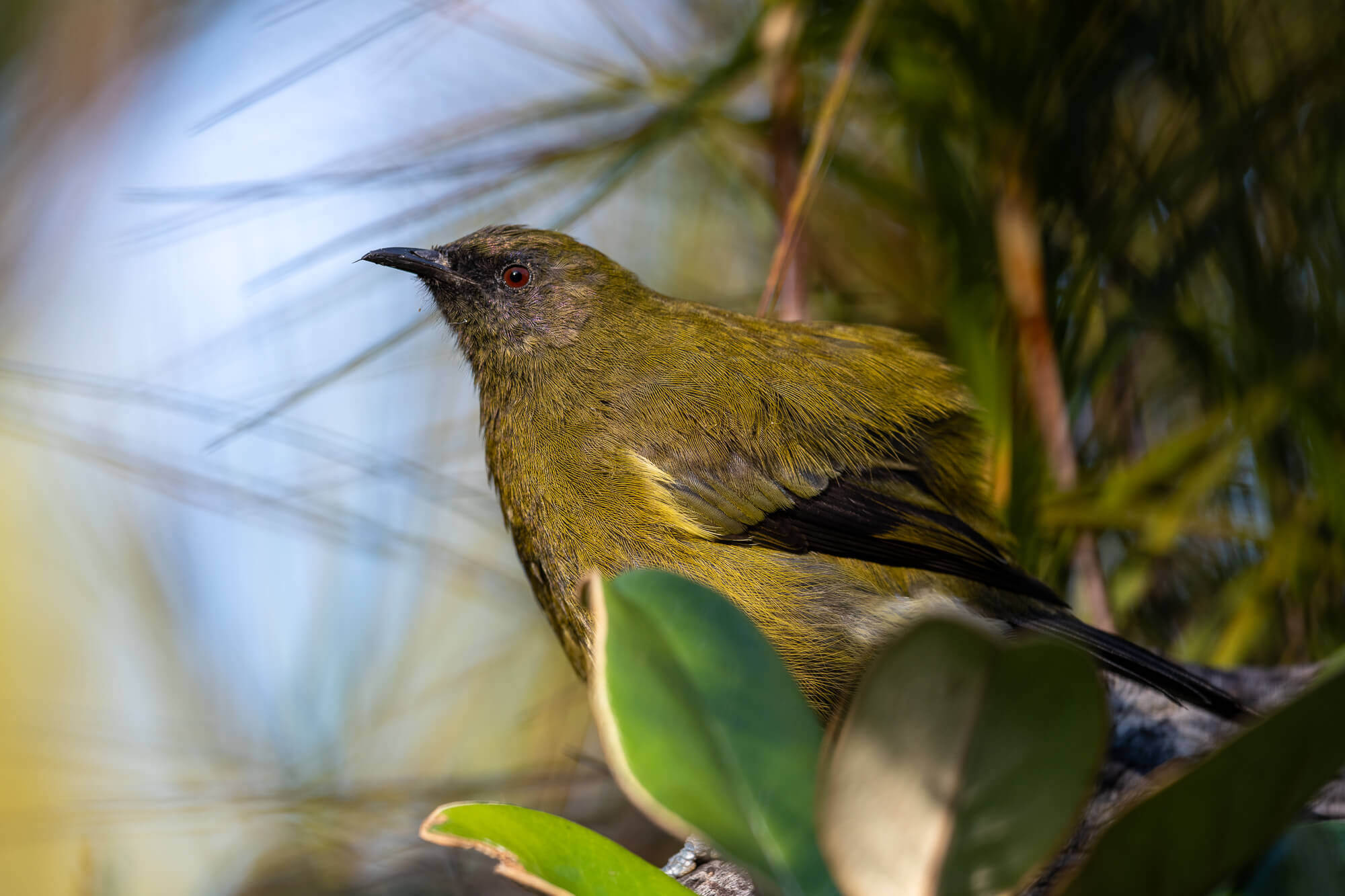 tourhub | Heritage Expeditions | Unseen Stewart Island 