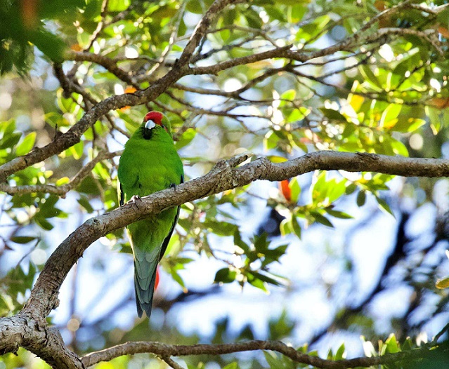 tourhub | Heritage Expeditions | Unseen Stewart Island 